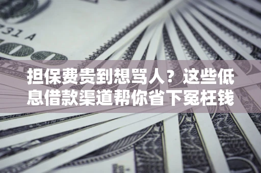 北京担保费贵到想骂人？这些低息借款渠道帮你省下冤枉钱
