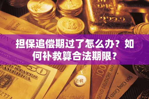 北京担保追偿期过了怎么办？如何补救算合法期限？