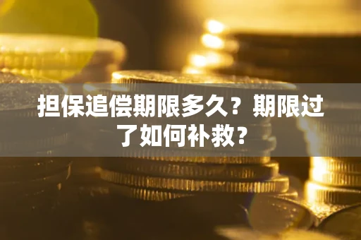 北京担保追偿期限多久？期限过了如何补救？