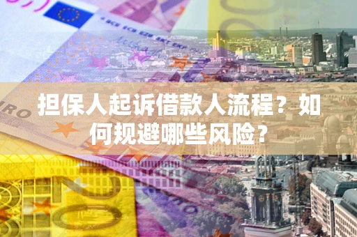 北京担保人起诉借款人流程？如何规避哪些风险？