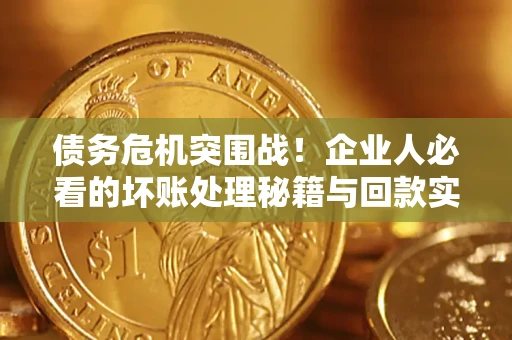 北京债务危机突围战！企业人必看的坏账处理秘籍与回款实战指南